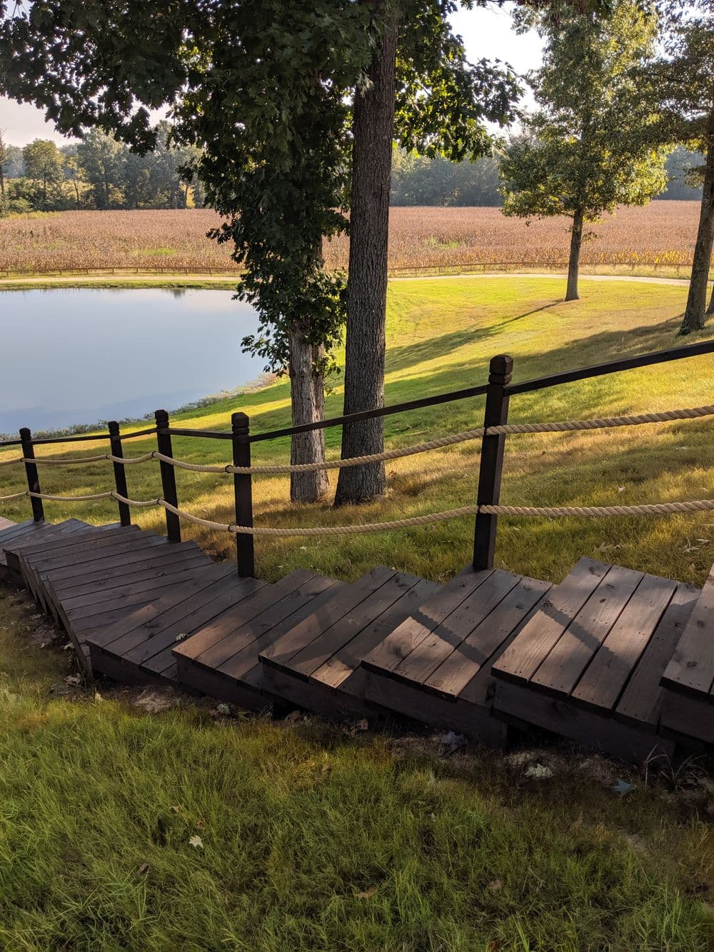 Wooden pathway leading to a tranquil pond surrounded by trees and a field.